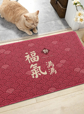 门口地垫进户门脚垫进门入门家用丝圈出入平安门垫红色入户门地毯