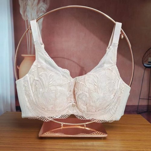 蕾丝胸罩奥丽侬软钢托棉透气性感