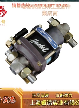 HASKEL ASFD  空气驱动泵