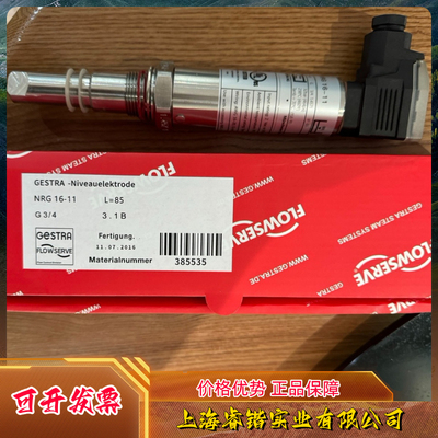Gestra  NRS 1-7  NRS1-7b  NRG16-11 船上锅炉水位控制器
