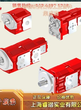 AP312HP/75  系列 BUCHER布赫 外啮合齿轮泵