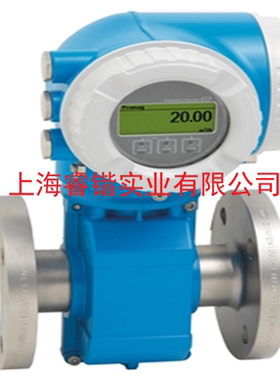 E+H  Proline Promag P 300电磁流量计