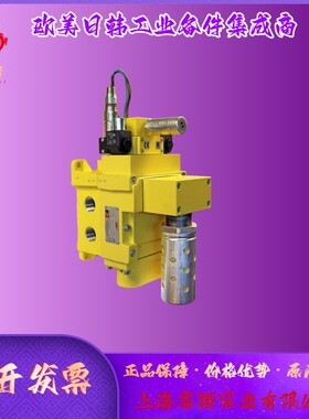 ROSS  DM1系列 DM1CDA54B31 C双阀