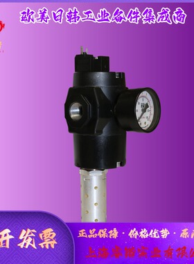ROSS  RSe系列  RSe3ENB20A31P双阀