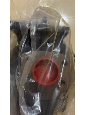 KF80RF23/232-GJS齿轮泵油泵，