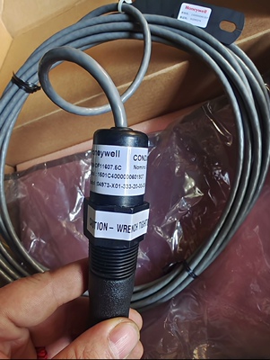 议价霍尼韦尔HoneyweII AI电导电极04973-X01-333-20-00-000-000