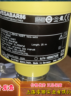 B86.AXCM9PFGEHXATMXX陶瓷测量元件 威格VEGA流量计 议价