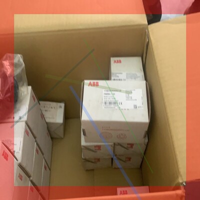 1TNE968900R0100ABB模块