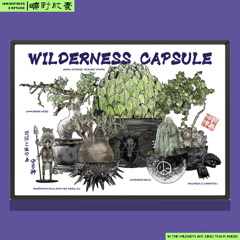 【旷野胶囊】龙舌兰块根植物43*31cm铝框窄边油画布艺术微喷版画