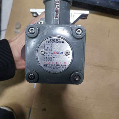 ES2000T点式可燃气体检测仪CH4，特安甲烷气体探测器，[议]