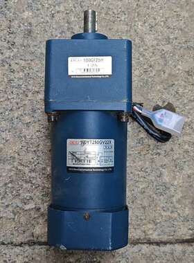 250W调速电机100YT250GV22X【议】