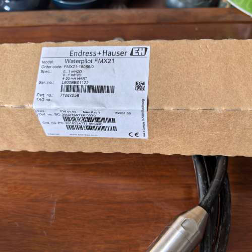 乎Endress+Hauser水试点FMX21[议]