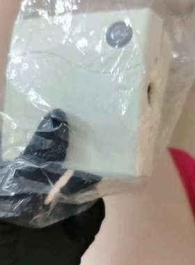 Hoffmann霍夫曼温控器，所见即所得。功能正常，[议]