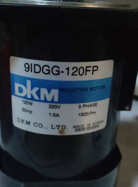 DKM电机，9IDGG-120FP【议】