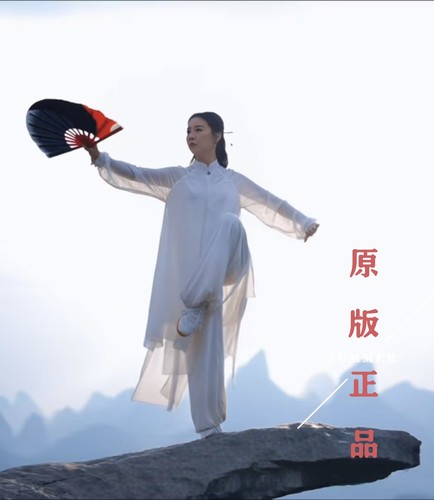 原版正品太极灵儿塑骨太极扇子