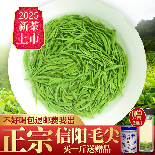 信阳毛尖2025雨前绿茶250g罐装