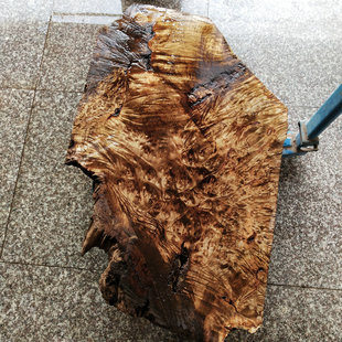 J935黄金樟满瘤疤樱木瘿木料榴疤树瘤留疤 随型干泡茶台大独板料