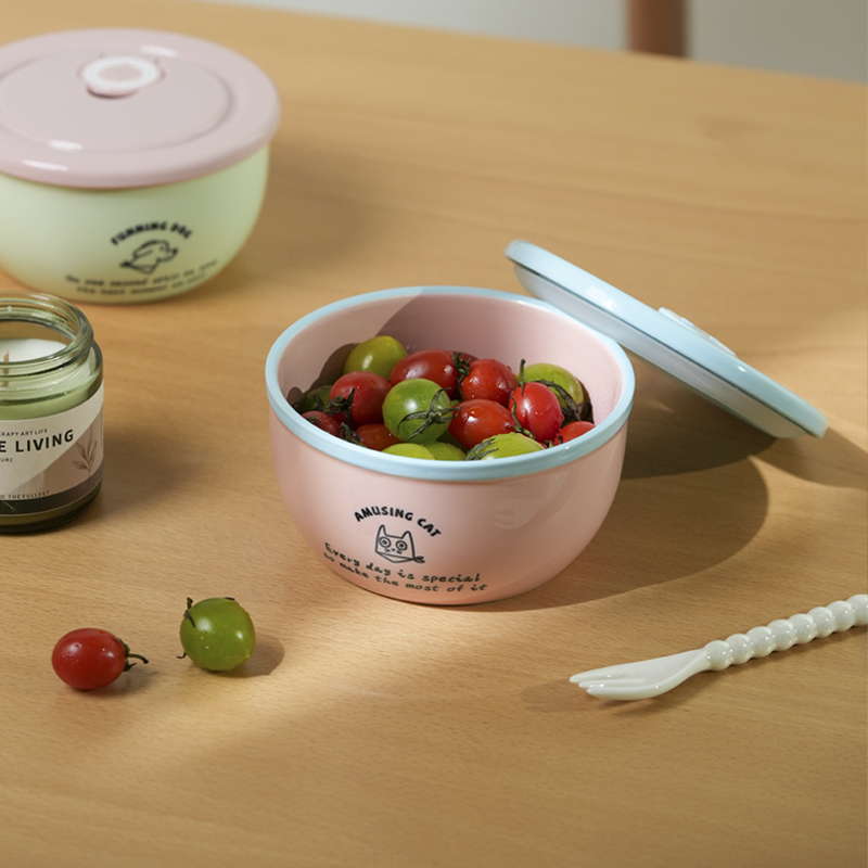 密封防漏保鲜盒高温陶瓷