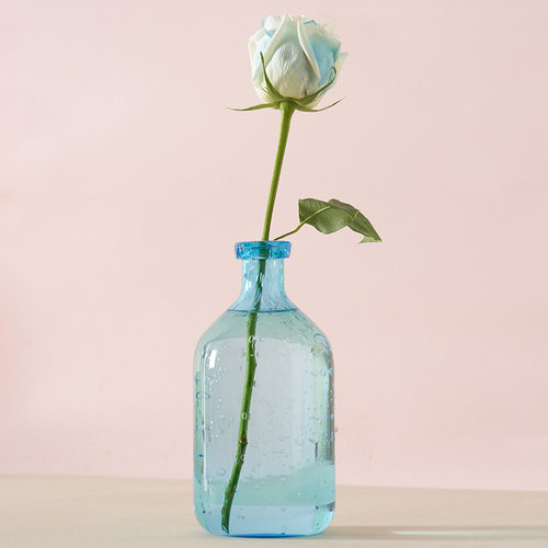 北欧复古大肚玻璃花瓶日本吊钟马醉木插花水培落地透明细口小口