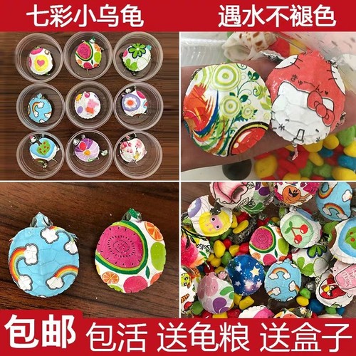 炫彩小夜光彩巴乌龟彩龟活体地摊夜市彩绘喷绘彩玩具 - 封面