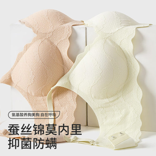 简约法式蕾丝文胸蚕丝锦莫防螨内衣聚拢美背透气舒适无痕小胸胸罩