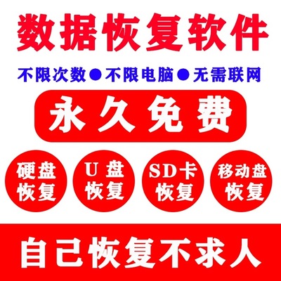 电脑硬盘数据恢复软件U盘sd卡误删除格式化恢复视频照片文件修复