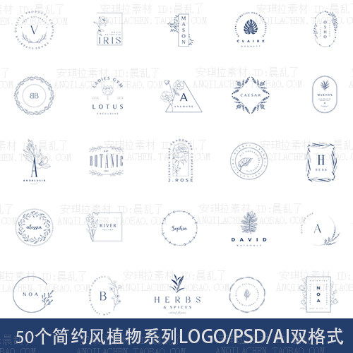 INS简约植物花卉叶子logo水印英文字体psd+AI矢量素材