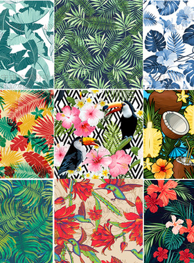 绿色高清热带雨林风丛林叶子背景包装素材矢量eps源文件素材