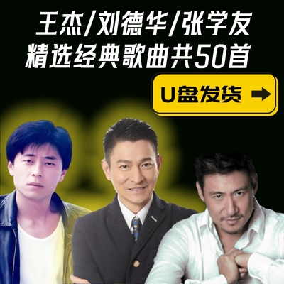 刘德华张学友王杰经典老歌U盘