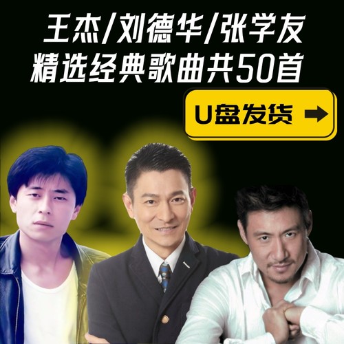 刘德华张学友王杰经典老歌U盘