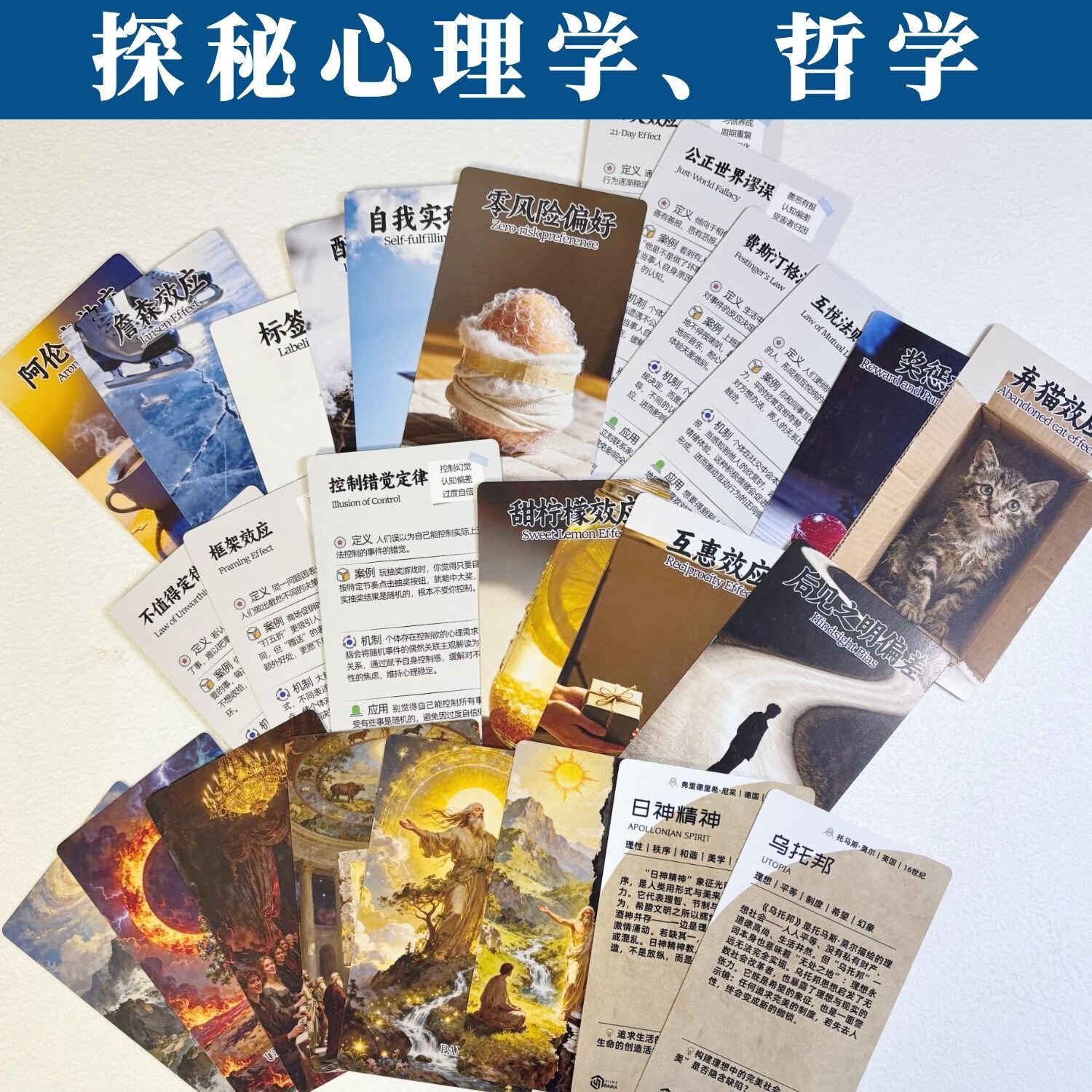 心理学哲学全套知识认知卡片