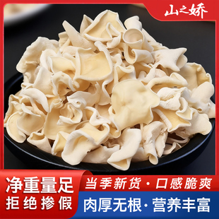 新品东北干货玉木耳干货长白山特产白玉木耳白木耳碗耳无根