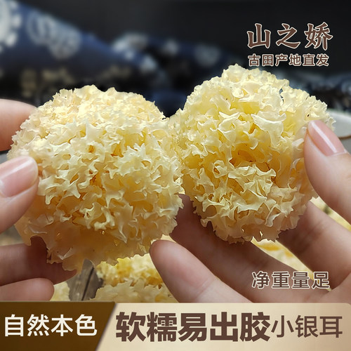 山之娇古田多胶小银耳出胶快又好