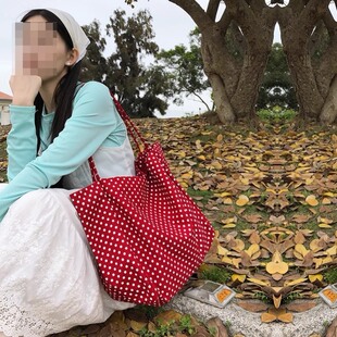 包包女式2025新款高级感学生百搭托特韩风ins复古红色波点帆布包