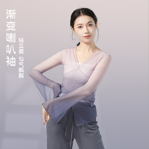 新款v领薄款跳舞网衣民族古典舞加长袖渐变色纱衣开叉芭蕾舞蹈服