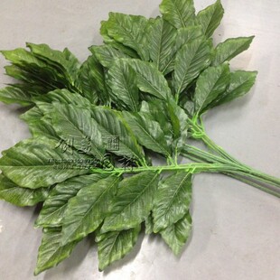 仿真板栗叶仿真树叶子园林装饰插花材料仿真树绿植草坪蒙古丽树叶