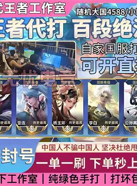 王者荣耀代练大小国标代打排位百星巅峰赛战力省标魔方国服工作室