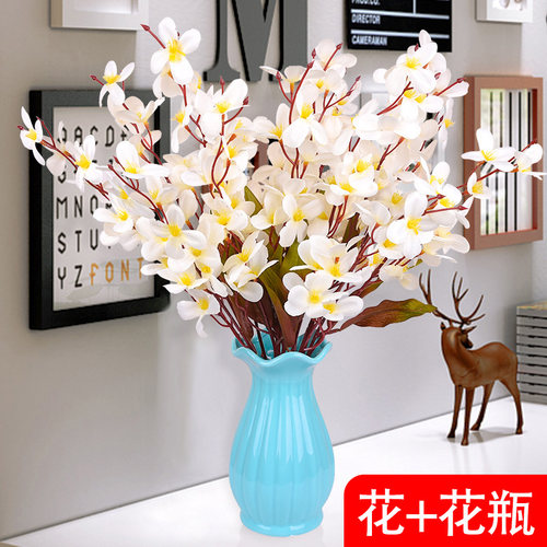 塑料电视柜摆件小盆栽干花花艺