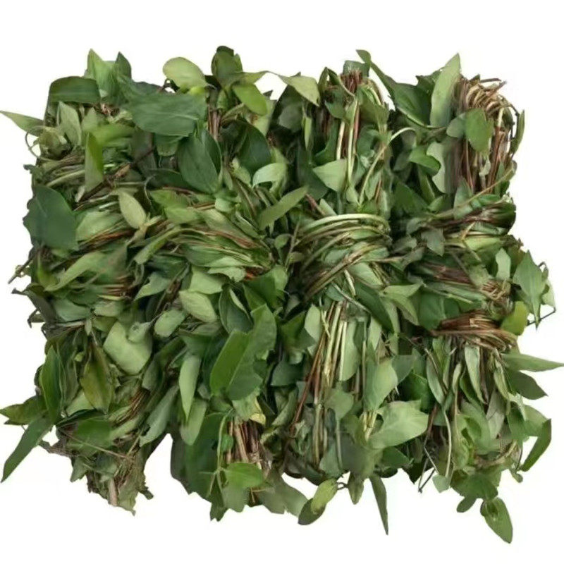 野生金银花藤宝宝洗澡婴儿中药材忍冬藤干叶子根去痱子新鲜清热