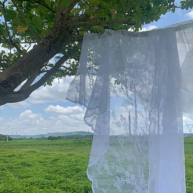 新娘白色蕾丝飘纱ins影楼拍照道具背景布姐妹野外聚餐背景布窗纱