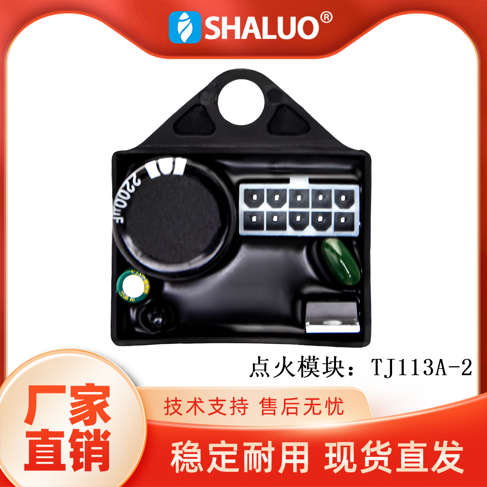 增程器数码发电机点火器TJ113A-2点火控制模块2KW点火器指示器YP