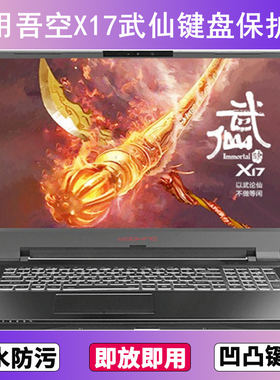 适用吾空X17武仙键盘保护膜17.3英寸笔记本电脑透明防尘罩防水套