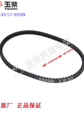 玉柴4110发动机原厂YC80-AV17-955B发电机皮带江淮乘龙福田客货车