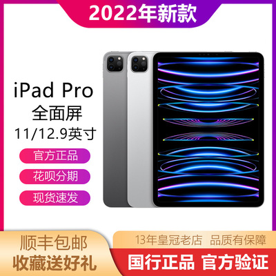 Apple/苹果iPadPro2022&2024款