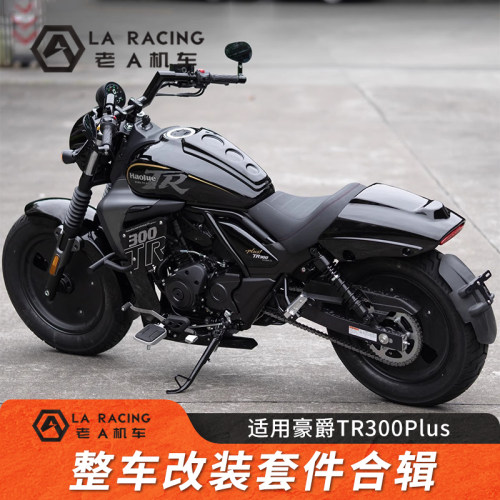 适用豪爵TR300Plus改装整车套件