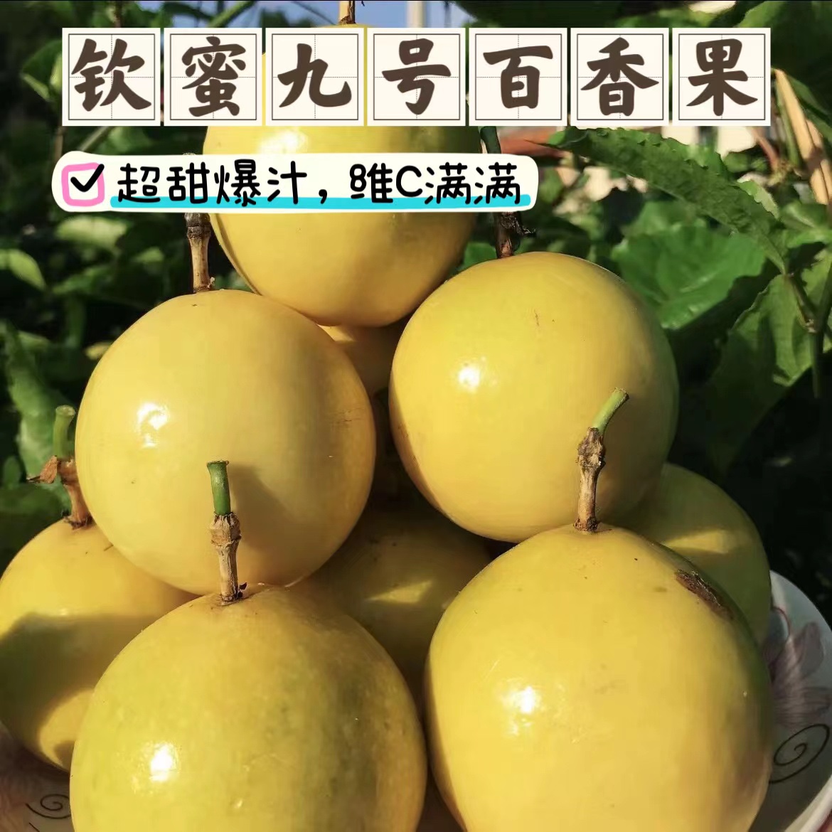福建武平新鲜采摘，钦蜜9号黄金百香果新鲜采摘!纯甜无酸的百香果