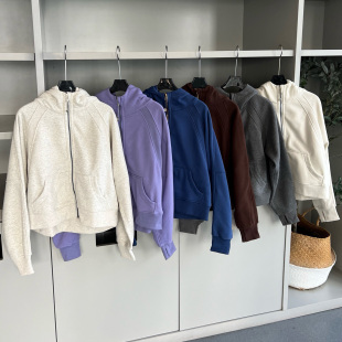 鼎奢~一眼万年!不挑人连帽加绒全拉链宽松版型运动卫衣外套秋冬