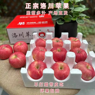 一级果顺丰 当季 洛川苹果新鲜水果红富士陕西延安特产脆甜整箱 包邮