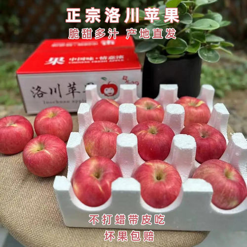 【一口拿捏】新鲜水果洛川红富士