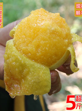【香甜爆汁】【头茬黄金蜜】黄桃